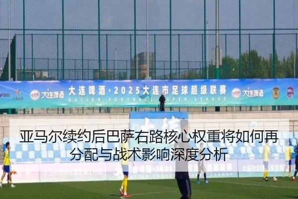 ya-ma-er-xu-yue-hou-ba-sa-you-lu-he-xin-quan-zhong-jiang-ru-he-zai-fen-pei-yu-zhan-shu-ying-xiang-shen-du-fen-xi-1-626.jpg