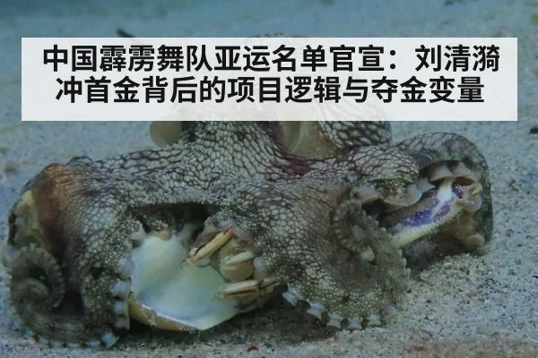 中国霹雳舞队亚运名单官宣:刘清漪冲首金背后的项目逻辑与夺金变量
